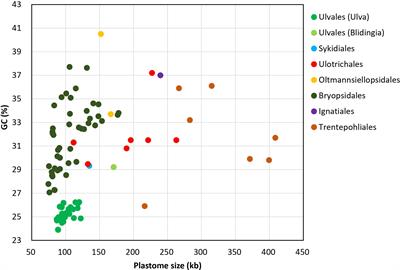 Novel insights into chloroplast genome evolution in the green macroalgal genus Ulva (Ulvophyceae, Chlorophyta)